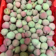 Feizhixiao Lychee Fruit Box|