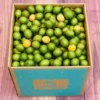Spanish Limes Fruit Box | Mamoncillos | Quenepas | Guineps Box Australia