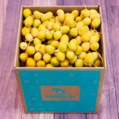 yellow barhi dates australia, fresh barhi dates australia, buy khalal barhi dates australia, crunchy yellow dates online australia, sweet dates australia, exotic fruit delivery australia