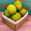 Breadfruit Tropical Box | Panapen Exotic Fruit Box Australia