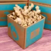 Fresh Tropical Ginger Box
