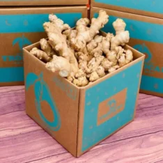 Fresh Tropical Ginger Box