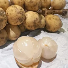 Lanzone Fruits | Langsat for Sale: Fresh Tropical Delights Available in Australia