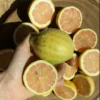 Pink Lemon Online: Fresh and Unique Citrus Available in Australia