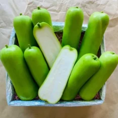 Long Opo Chinese Squash | Exotic Fruit Box Australia