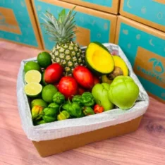 Hello Fiesta 20 Pounds Fruit Box | Celebrate with Fresh Tropical Fruits Australia