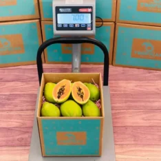 Fresh Golden Papaya Fruit Box Australia