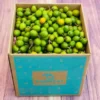 Green Spanish Plum Fruit Box
