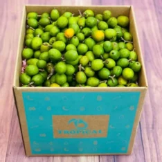 Green Spanish Plum Fruit Box