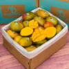 Julie Mango Tropical Fruit Box