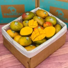 Julie Mango Tropical Fruit Box