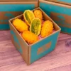 Order Kiwano Melon Fruit Box Australia
