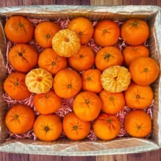 Mandarin Oranges Fruit Box: Sweet and Juicy Mandarins Available Online in Australia
