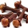 Clove Seeds Pack