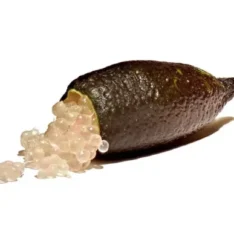 Red Caviar Lime: Exotic Finger Limes Available Online in Australia