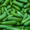 Fresh Mini Cucumbers | Buy Mini Cucumber Online | Fresh Tropical Fruits Online Australia