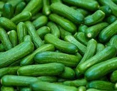 Fresh Mini Cucumbers | Buy Mini Cucumber Online | Fresh Tropical Fruits Online Australia