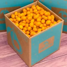 Kumquat Exotic Fruit Box For Sale Australia | Citrus japonica