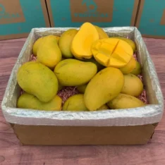Mingolo Mango Fruit Box for Sale in Australia (Mangifera indica