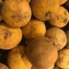 Fresh Santol Fruit Box - Sweet Cotton Fruit in Australia