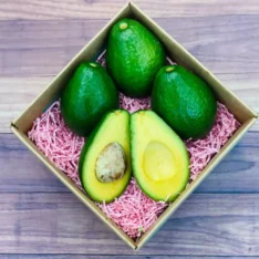 Tropical Avocados Fruit Box for Sale | Buy Fresh Avocados in Australia