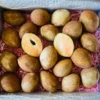 Tropical Sapodilla Fruit Box | Buy Fresh Zapote Chico Fruits in Australia