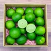 Order Tropical Lime Fruit Box Australia