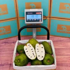Soursop Tropical Fruit Box for Sale Australia | Guanabana