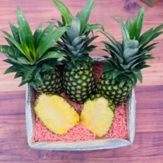 Tropical Golden Pineapple Box | Buy Fresh Pineapples in Australia