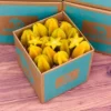 Tropical Star Fruit Box for Sale Australia | Carambola Exotic Fruits Box