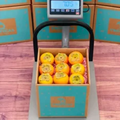 Spanish Persimmons Fruit Box Australia | Vanilla Kaki