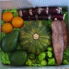 17 Pounds Tropical Holiday Fruit Box | Fresh Exotic Fruits